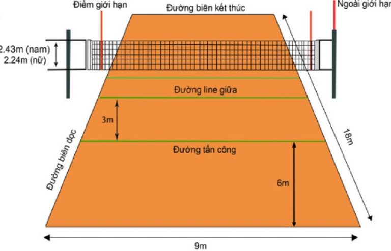 Vì sao bóng chuyền cần có yêu cầu tiêu chuẩn về kích thước?