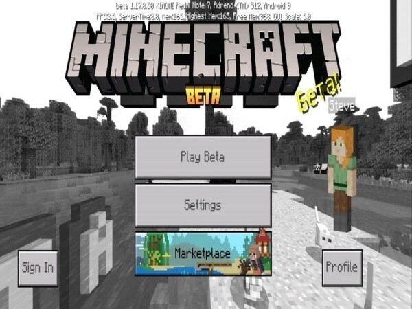 Cần chuẩn bị những gì trước khi tải Minecraft PE 1.17.10.20?