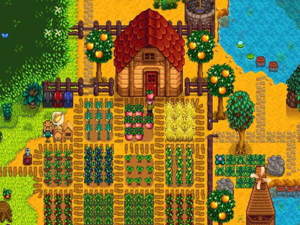 Stardew Valley giúp rèn sự kiên nhẫn và tư duy khi chơi game