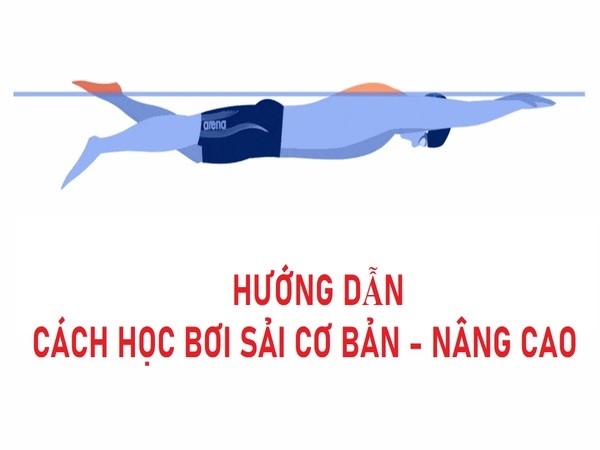 Nên học kỹ thuật bơi trườn sấp từ cơ bản đến nâng cao