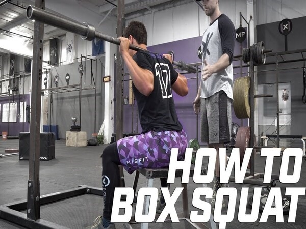 Bài tập Box Squats