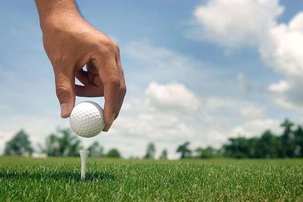 Tee golf dùng để kê bóng golf