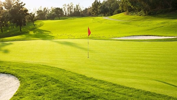 Green là khu vực cỏ quanh lỗ golf