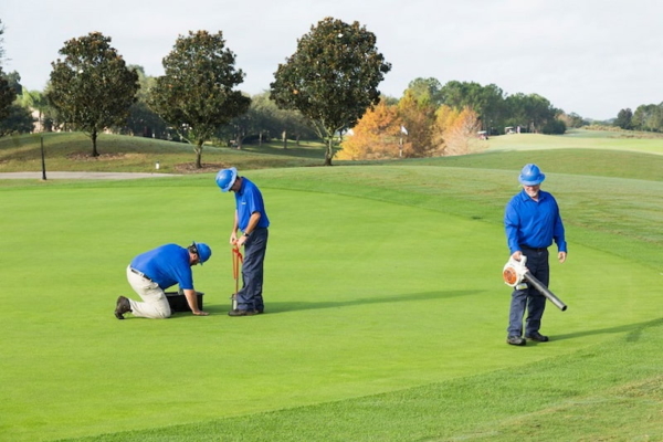 Những sai lầm thường gặp trong kỹ thuật chăm sóc cỏ sân golf