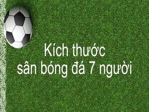 Kích thước tiêu chuẩn của sân bóng đá 7 người