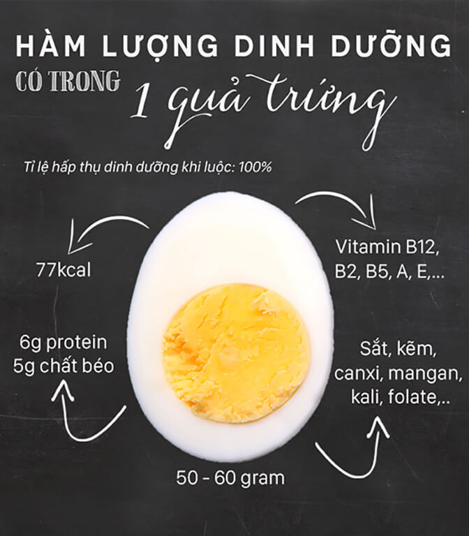 Trứng vịt bao nhiêu Protein? Một nguồn dinh dưỡng quan trọng
