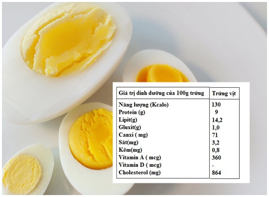 Tìm hiểu thêm về giá trị dinh dưỡng toàn diện của trứng vịt