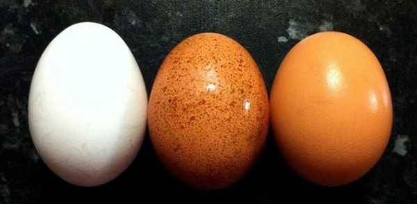 Trứng gà chứa nhiều lutein và zeaxanthin