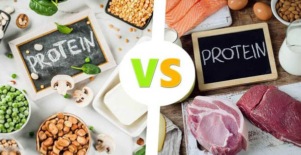 70kg cần bao nhiêu protein? Thực phẩm nên bổ sung vào chế độ ăn