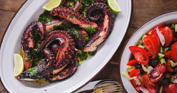Bạch tuộc: nguồn protein tuyệt vời cho người tập gym