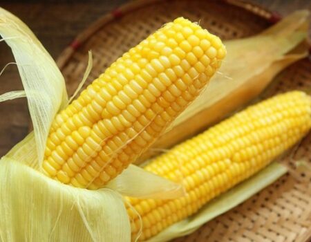 Những thắc mắc thường gặp về hàm lượng protein trong bắp