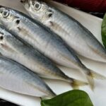 Protein trong cá nục dễ hấp thụ và tiêu hóa