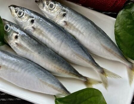 Protein trong cá nục dễ hấp thụ và tiêu hóa