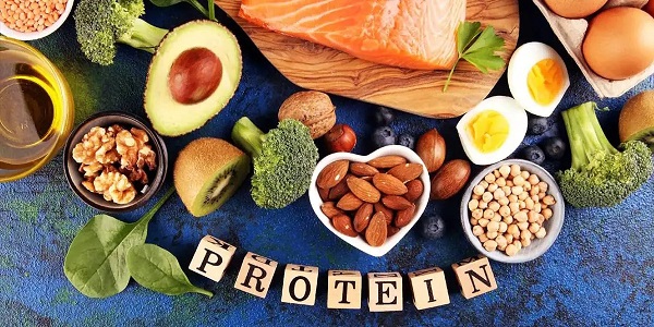 Sự cân bằng giữa protein và các chất dinh dưỡng khác