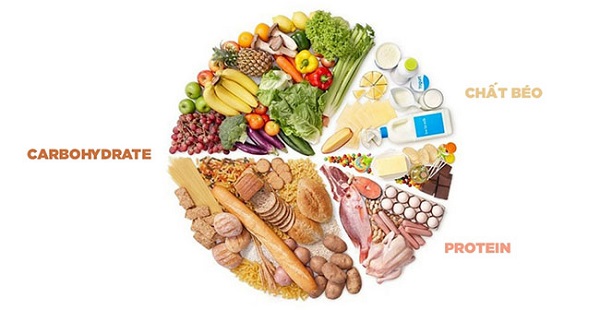 Kết hợp protein với carbohydrate và chất béo