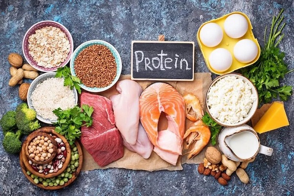 Protein là yếu tố quyết định trong quá trình xây dựng và phục hồi cơ bắp