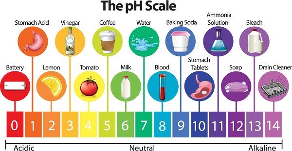 pH của dung dịch là một yếu tố quan trọng ảnh hưởng đến độ tan của protein