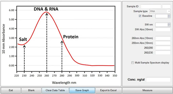 Protein hấp thụ ánh sáng ở bước sóng 280 nm