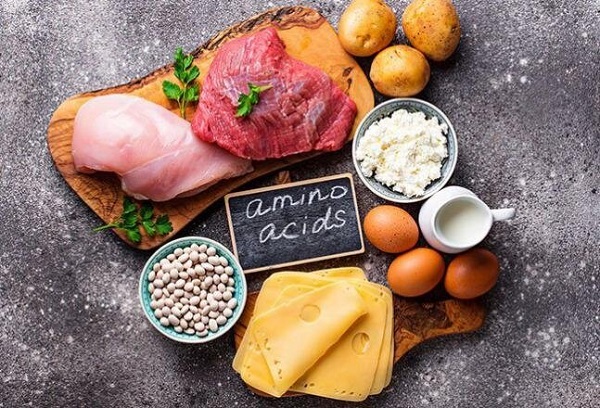 Protein là nguồn cung cấp axit amin thiết yếu cho cơ thể