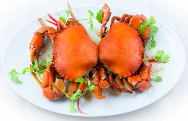 Cua bao nhiêu protein? Lợi ích sức khỏe từ protein trong cua