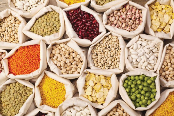 Hàm lượng protein trong đậu gà so với các loại đậu khác