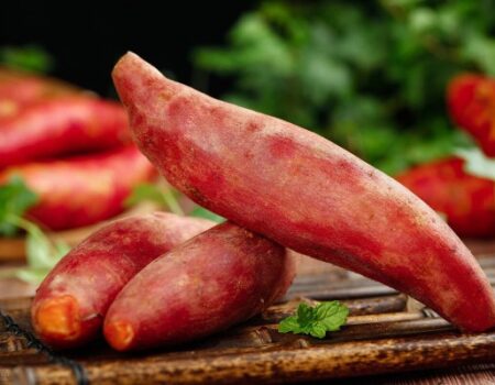 Khoai lang loại củ quen thuộc trong ẩm thực Việt Nam và trên toàn thế giới