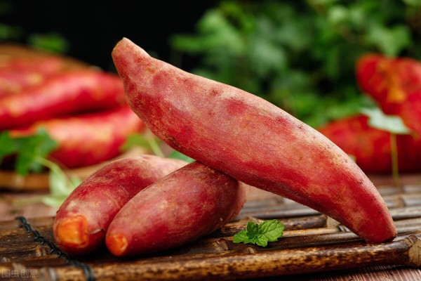 Khoai lang loại củ quen thuộc trong ẩm thực Việt Nam và trên toàn thế giới