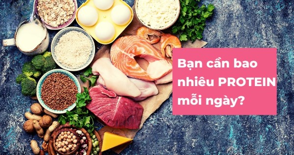 Nạp bao nhiêu protein là đủ mỗi ngày