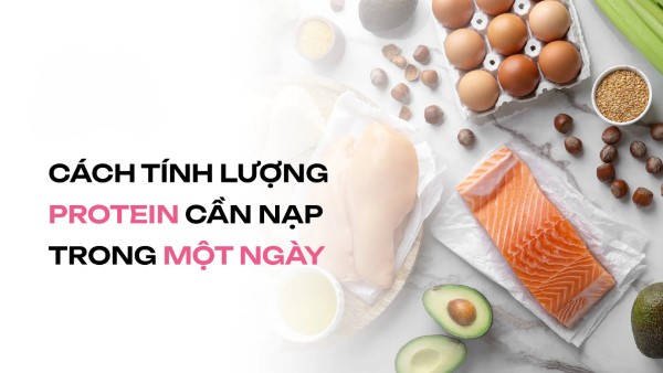 Các yếu tố ảnh hưởng và cách tính toán lượng protein cần thiết hàng ngày