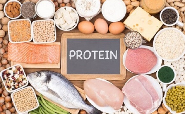 Lượng protein khuyến nghị hàng ngày (RDA)