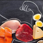 Protein chiếm bao nhiêu phần trăm trong cơ thể người lớn?