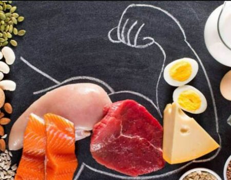 Protein chiếm bao nhiêu phần trăm trong cơ thể người lớn?