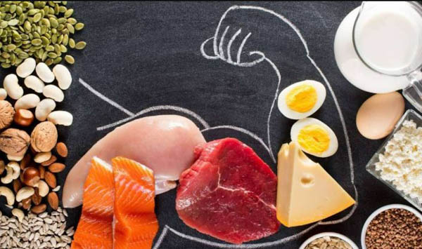 Protein chiếm bao nhiêu phần trăm trong cơ thể người lớn?