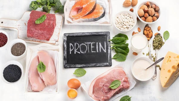 Vai trò của protein trong cấu trúc và chức năng cơ thể