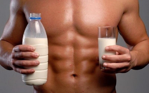 Protein là thành phần cấu tạo chính của cơ bắp