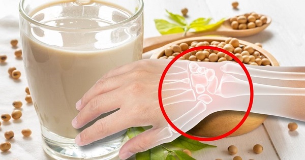 Protein đóng vai trò quan trọng trong việc duy trì mật độ xương