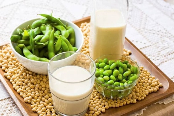 Sữa đậu nành và các nguồn protein khác
