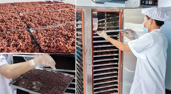 Phương pháp sấy tôm khô công nghiệp
